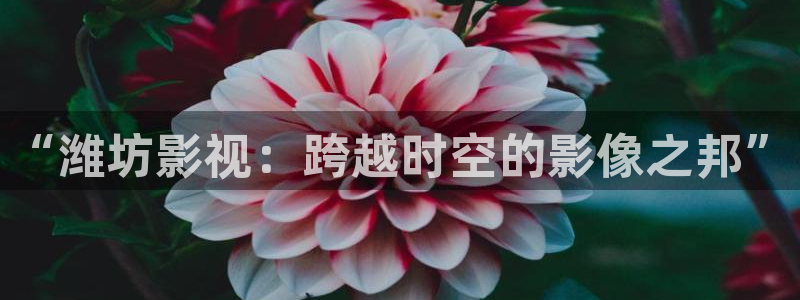 酷客影院2024：“潍坊影视：跨越时空的影像之邦”