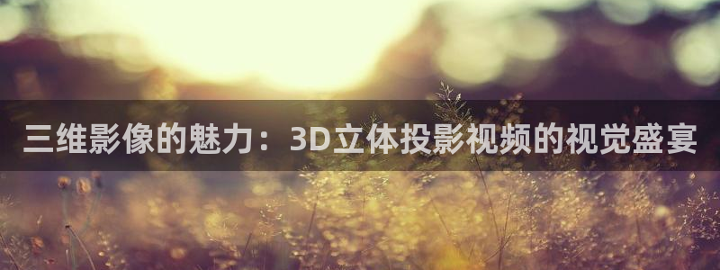 电视剧 酷客影院：三维影像的魅力：3D立体投影视频的视觉盛宴