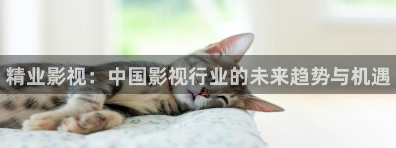 手机酷客影院在线：精业影视：中国影视行业的未来趋势与机遇