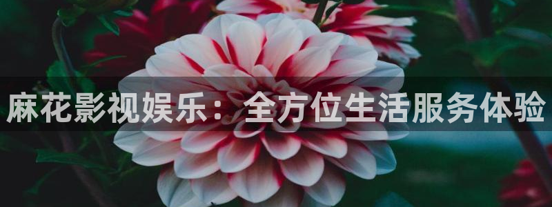 酷客电影新入口：麻花影视娱乐：全方位生活服务体验
