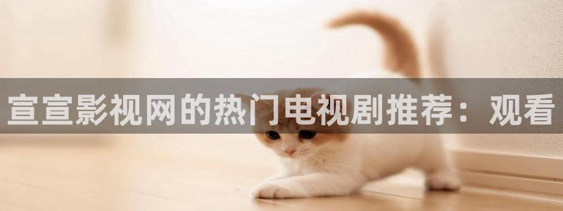 酷客影院免费：宣宣影视网的热门电视剧推荐：观看