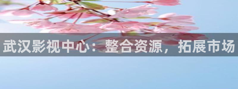 电视剧 酷客影院：武汉影视中心：整合资源，拓展市场
