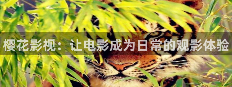 酷客影院.：樱花影视：让电影成为日常的观影体验