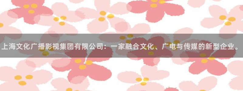 姐妹病毒酷客影院：上海文化广播影视集团有限公司：一家融合文化、广电与传媒的新型企业。