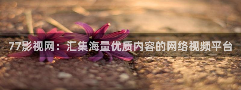 酷客影视电视剧：77影视网：汇集海量优质内容的网络视频平台