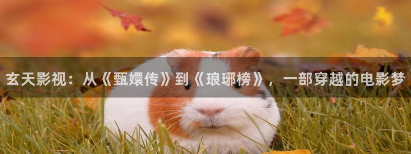 酷客影院电视：玄天影视：从《甄嬛传》到《琅琊榜》，一部穿越的电影梦