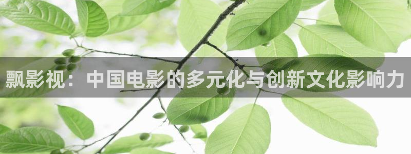 酷客影城：飘影视：中国电影的多元化与创新文化影响力