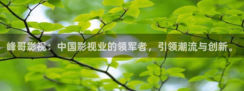 酷客影院观看免费：峰哥影视：中国影视业的领军者，引领潮流与创新。